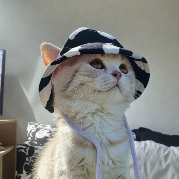 Cute Pet Hats for Small Dogs and Cats