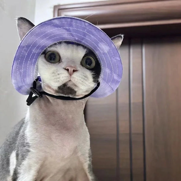 Cute Pet Hats for Small Dogs and Cats