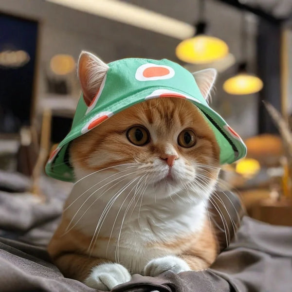 Cute Pet Hats for Small Dogs and Cats