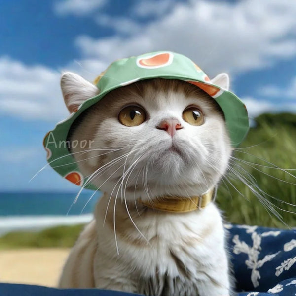 Cute Pet Hats for Small Dogs and Cats