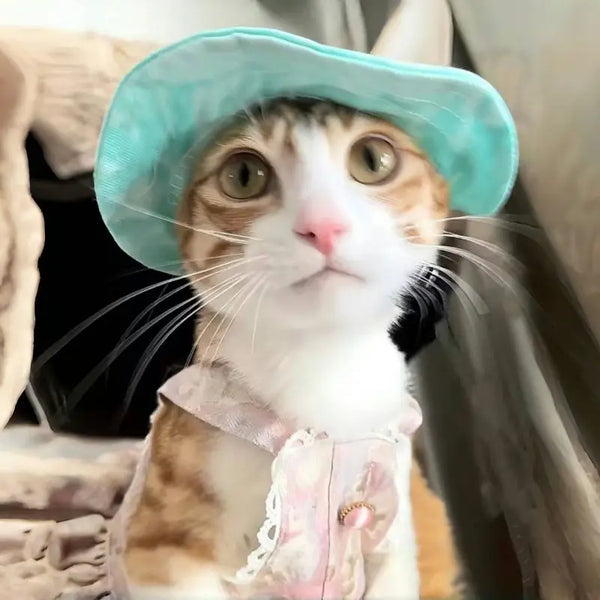 Cute Pet Hats for Small Dogs and Cats