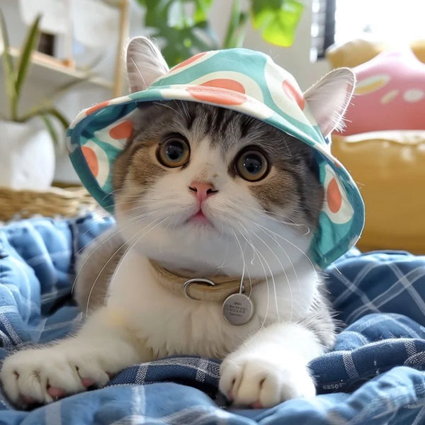 Cute Pet Hats for Small Dogs and Cats