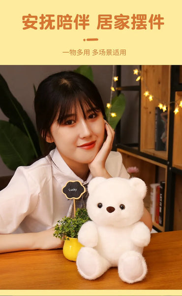 Cute Baby Toy Stuffed Bear Plush - 10inch