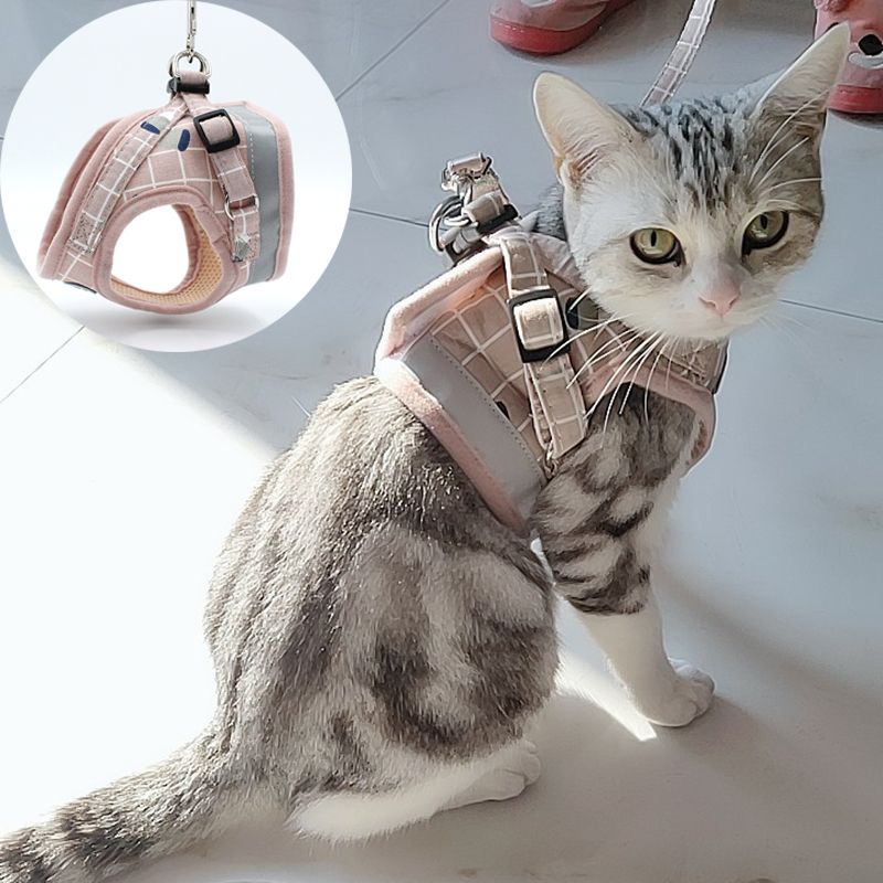 558152791