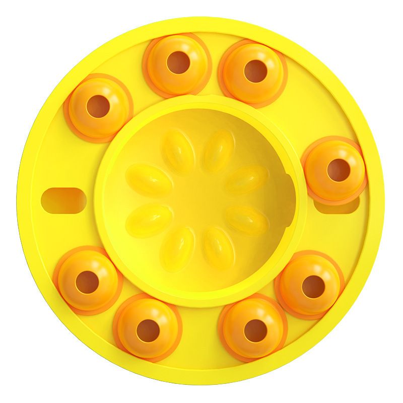 558151651